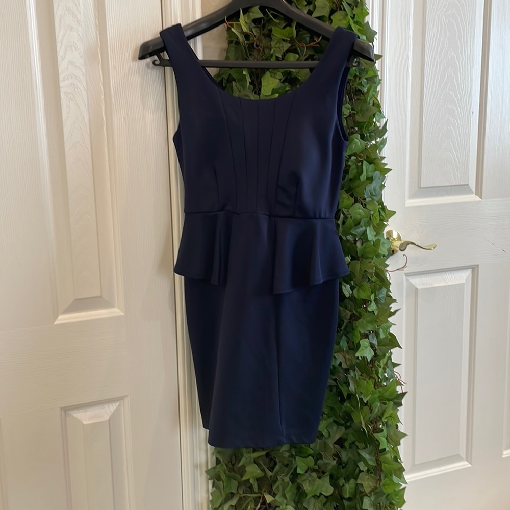 Windsor Navy Blue Dress